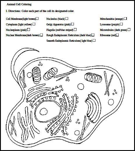 Cell Organelles Coloring Coloring Pages