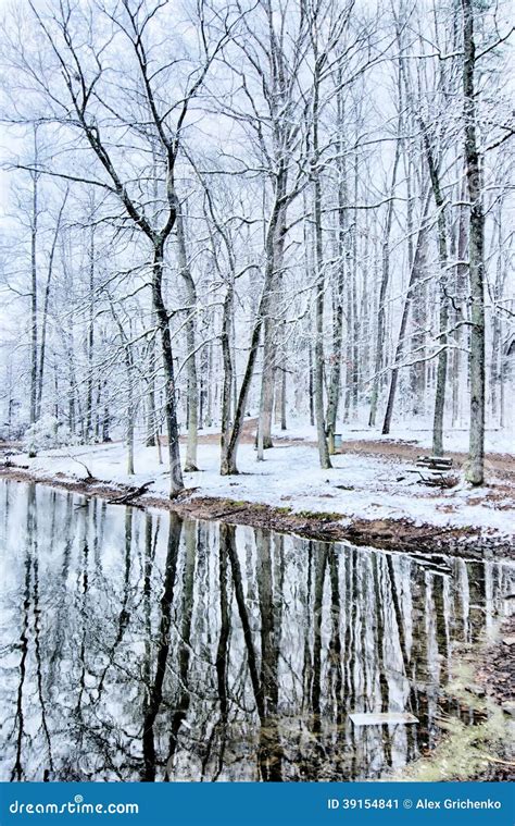 Tree Line Reflections In Lake During Winter Stock Image Image Of Snow