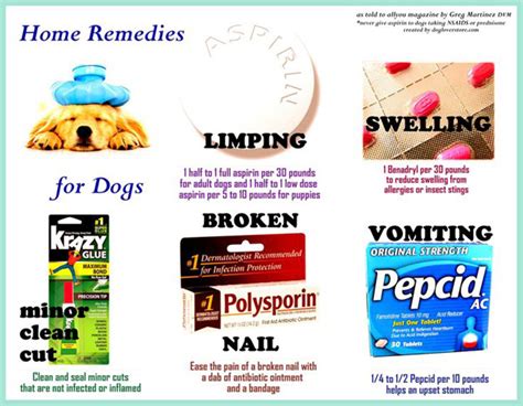 Home Pain Remedy For Dogs