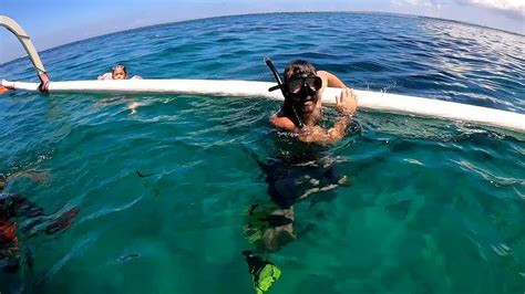 Snorkeling In Sanur Bali Youtube