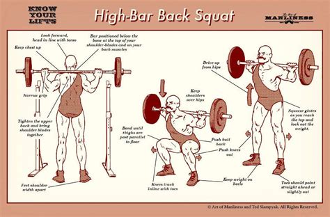 Know Your Lifts The High Bar Back Squat Back Squats Squats Squat