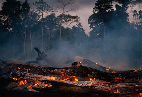 Deforestation In Amazon Forest Affecting Brazils Climate Dynamite News