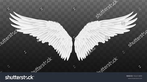 70063 Curved Wings Images Stock Photos And Vectors Shutterstock