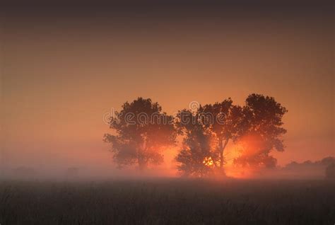 Golden Foggy Sunrise By The River Stock Photo Image Of Republic