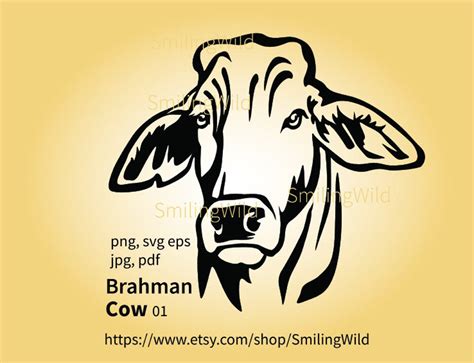 Brahman Cow Svg Vector Graphic Clip Art Brahman Cattle Etsy Australia