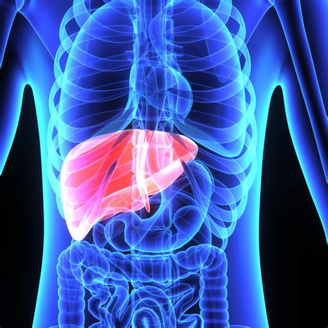 Hepatitis is inflammation of the liver tissue. Respuesta inmunitaria frente al virus de la hepatitis B ...