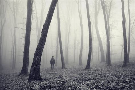 Persona Extraña Del Hombre Que Recorre En Un Bosque Oscuro Foto De