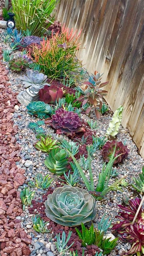 Great Mix Of Succulents For A Low Water Garden In Full Sun Great