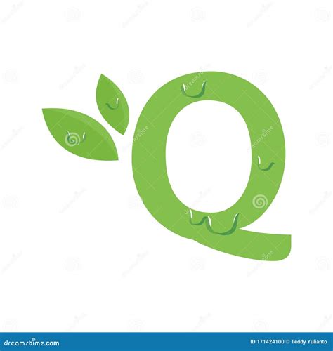 Initial Q Leaf Fresh Logo Stock Vector Illustration Of Health 171424100