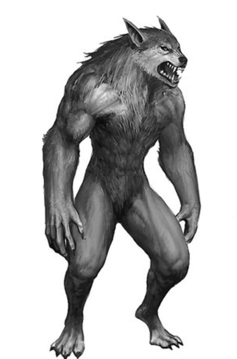 The Werewolf Legends Of Romania The Adventures Of Kiara Yew