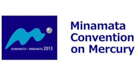 Daphnia 60 España debe ratificar el Convenio de Minamata cuanto antes