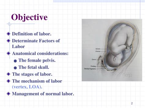 Ppt Normal Labor Or Delivery Powerpoint Presentation Free Download