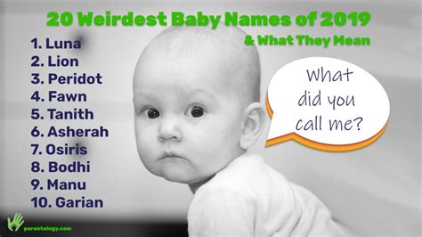 20 Weirdest Baby Names 2019 And What They Mean Parentology