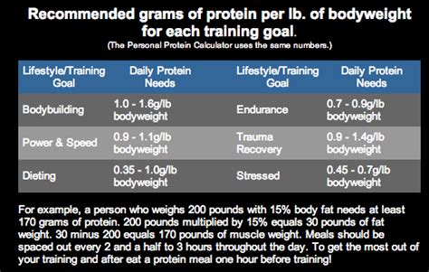 Recommended Grams Of Protein Per Lb Of Bodyweight For Each Training