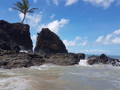 The Best Naturist Beach In Brazil Praia De Tambaba Conde Traveller Reviews Tripadvisor