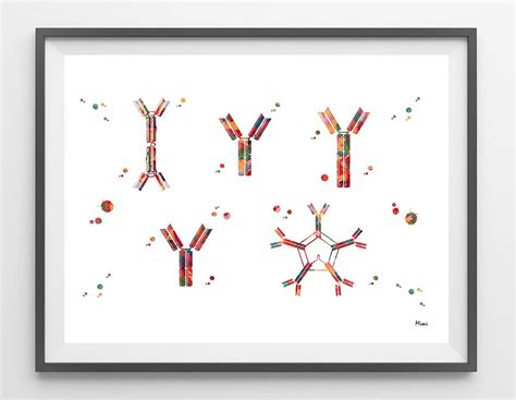 Antibody Watercolor Print Antigens Antibody Reaction Print Science Art
