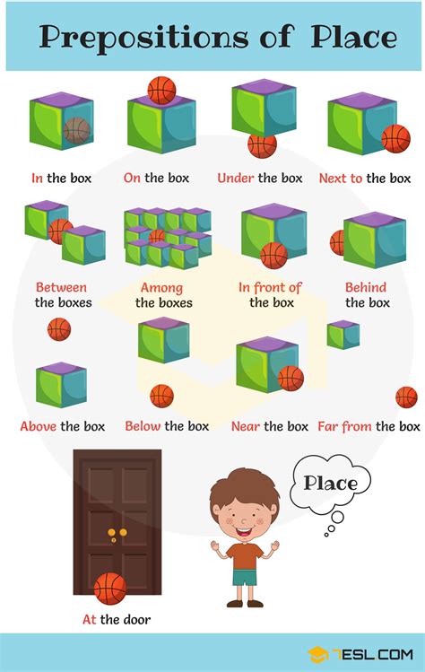 Prepositions Of Place With Pictures Prepositions Of Place Free