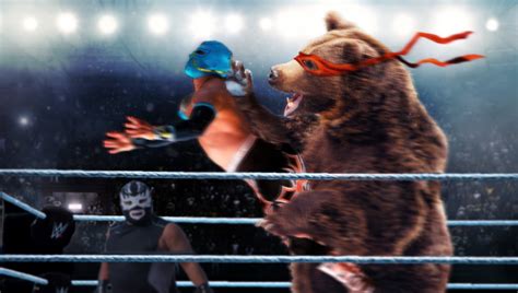 How To Wrestle A Bear Meme A Guide To Hand To Hand Combat With Bears