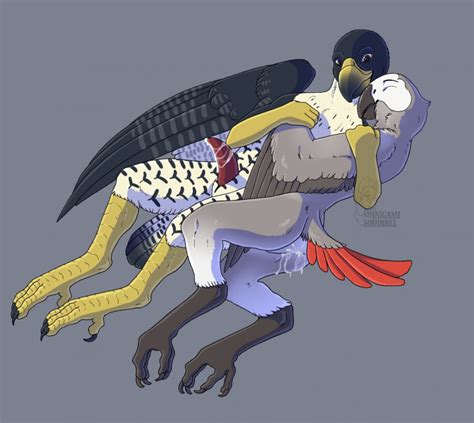 Rule 34 African Grey After Sex Avian Beak Bird Claws Cuddling Cum Cum In Ass Cum Inside Cum On