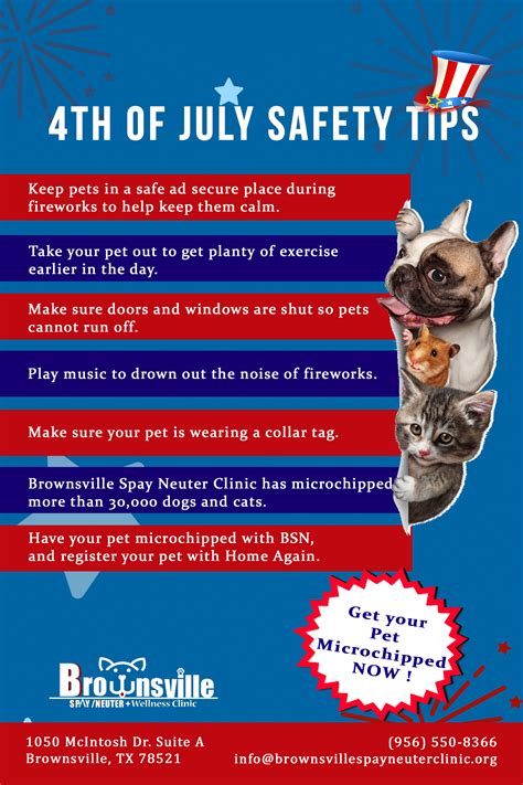 4th Of July Safety Tips Brownsville Spay Neuter