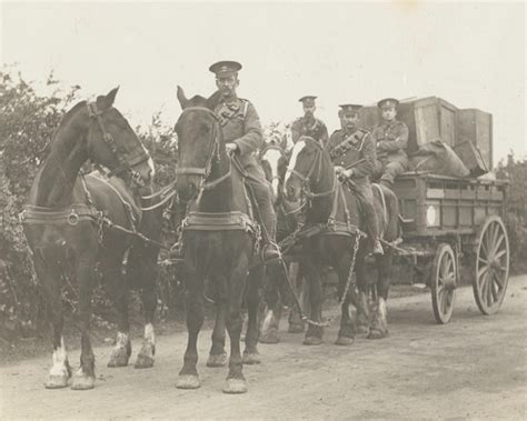 Horse Power In The First World War National Army Museum