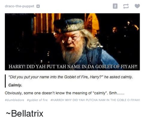 Search Harry Potter And The Goblet Of Fire Memes On Meme