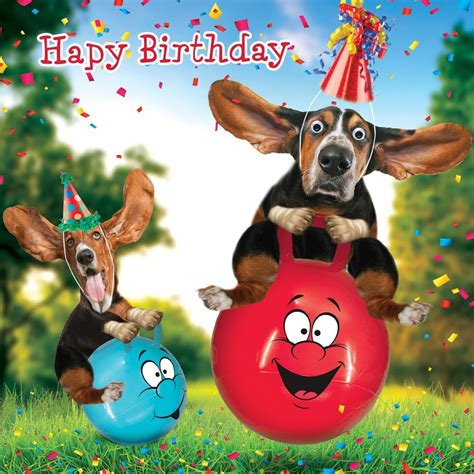 Funny Basset Hound Dog Space Hopper Birthday Card Bouncey