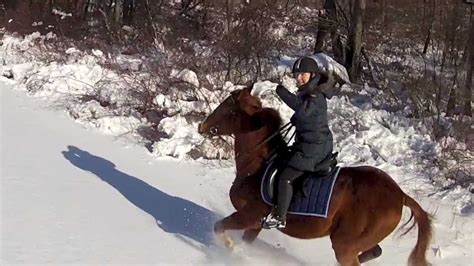 The Best Horse Snow Ride Ever Youtube