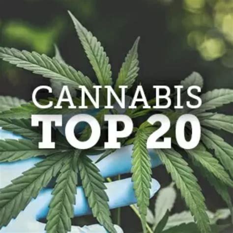 Australias Top 20 Cannabis Companies M A N O X B L O G