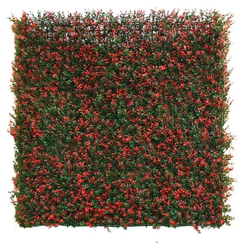 Red Boxwood S11 With Images Artificial Green Wall Plant Wall