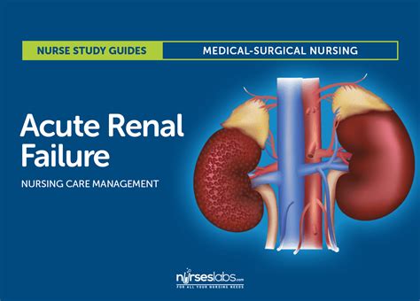 Renal causes of urine specific gravity changes. Acute Renal Failure Nursing Care and Management: Study Guide