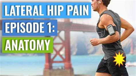 Episode 1 Lateral Hip Pain Anatomy Gluteal Tendinopathy Bursitis