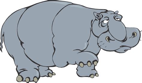 Free Hippo Cartoon Download Free Clip Art Free Clip Art
