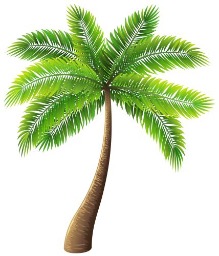 Png Hd Palm Tree Beach Transparent Hd Palm Tree Beachpng Images Pluspng