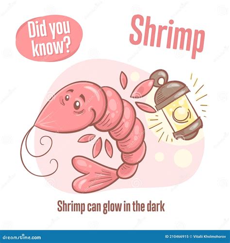 Prawn Interesting Facts About Shrimp Stock Vector Illustration Of