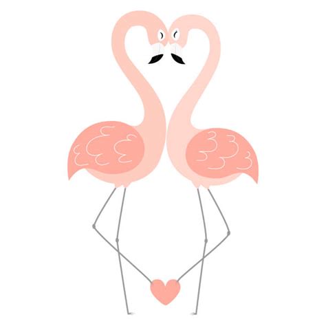 Flamingo Heart Illustrations Royalty Free Vector Graphics And Clip Art