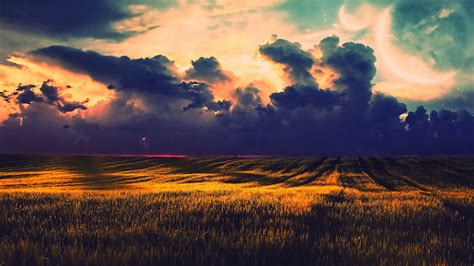 Online Crop Field Of Green Grass And White Sky Landscape Fantasy
