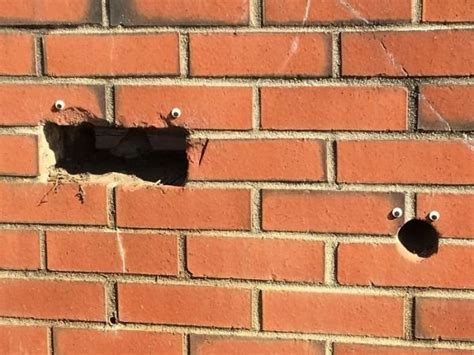 30 Funny Photos Showing That Googly Eyes Make Everything Better