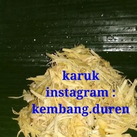 Jual Kembang Durian Karuk Duren Di Lapak Vanilla Official Store Bukalapak