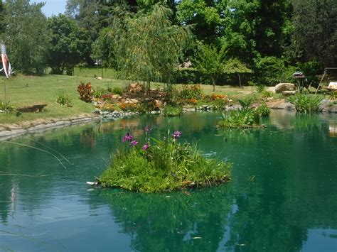 We carry a complete line of pond vacuums , pond skimmers, pond filters, garden pond heaters and other products that will help keep your pond functioning properly all year long. Pondscaping Services | Aquatic Gardens | Loomis, CA