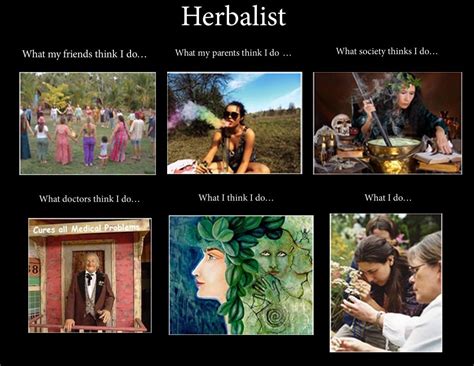 Holistic Medicine Meme Medicinewalls