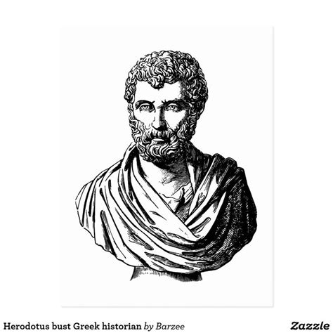 Herodotus Bust Greek Historian Postcard Zazzle Historian Postcard