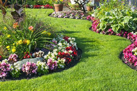 5 Ways To Get Your Garden Ready For Spring Workshopedia