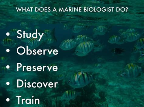 A Marine Biologists Journey The Intro To Marine Biology
