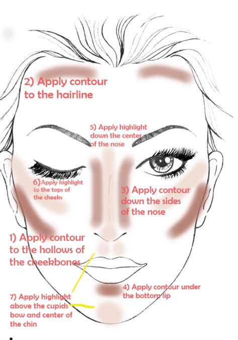 The Basics Of Contouring And Highlighting Contouring And Highlighting
