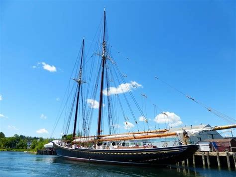 The Bluenose Schooner Picture Of Lunenburg Whale Watching Tours