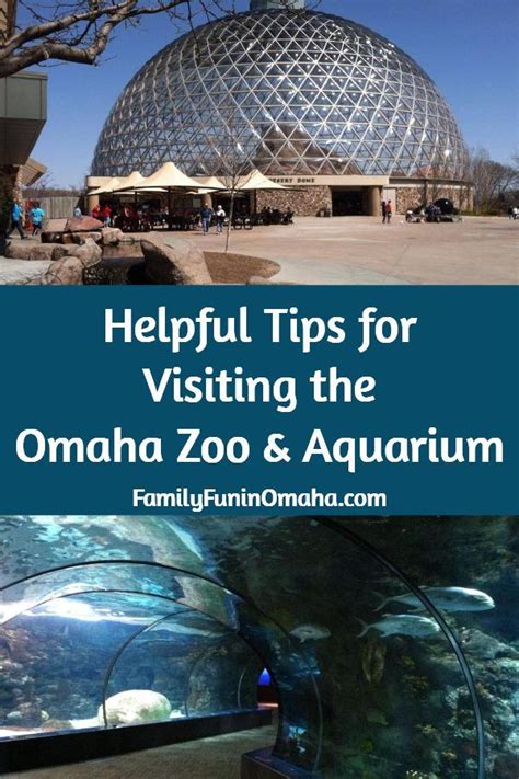 Tips For Visiting The Omaha Zoo Omaha Zoo Midwest Vacations Travel