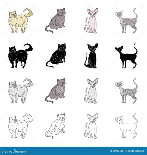 Persian Cat Icons And Silhouettes Vector Illustration 68627568