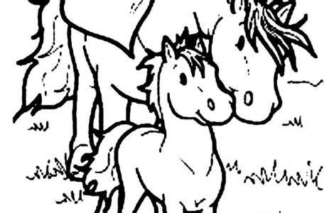 Color horse coloring pages online with this great free coloring app for kids. Baby Horse Coloring Page (With images) | Horse coloring ...