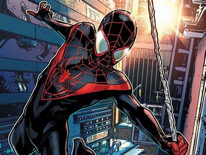 Spider Ultimate Spiderman Background Iron Pc Wallpapers